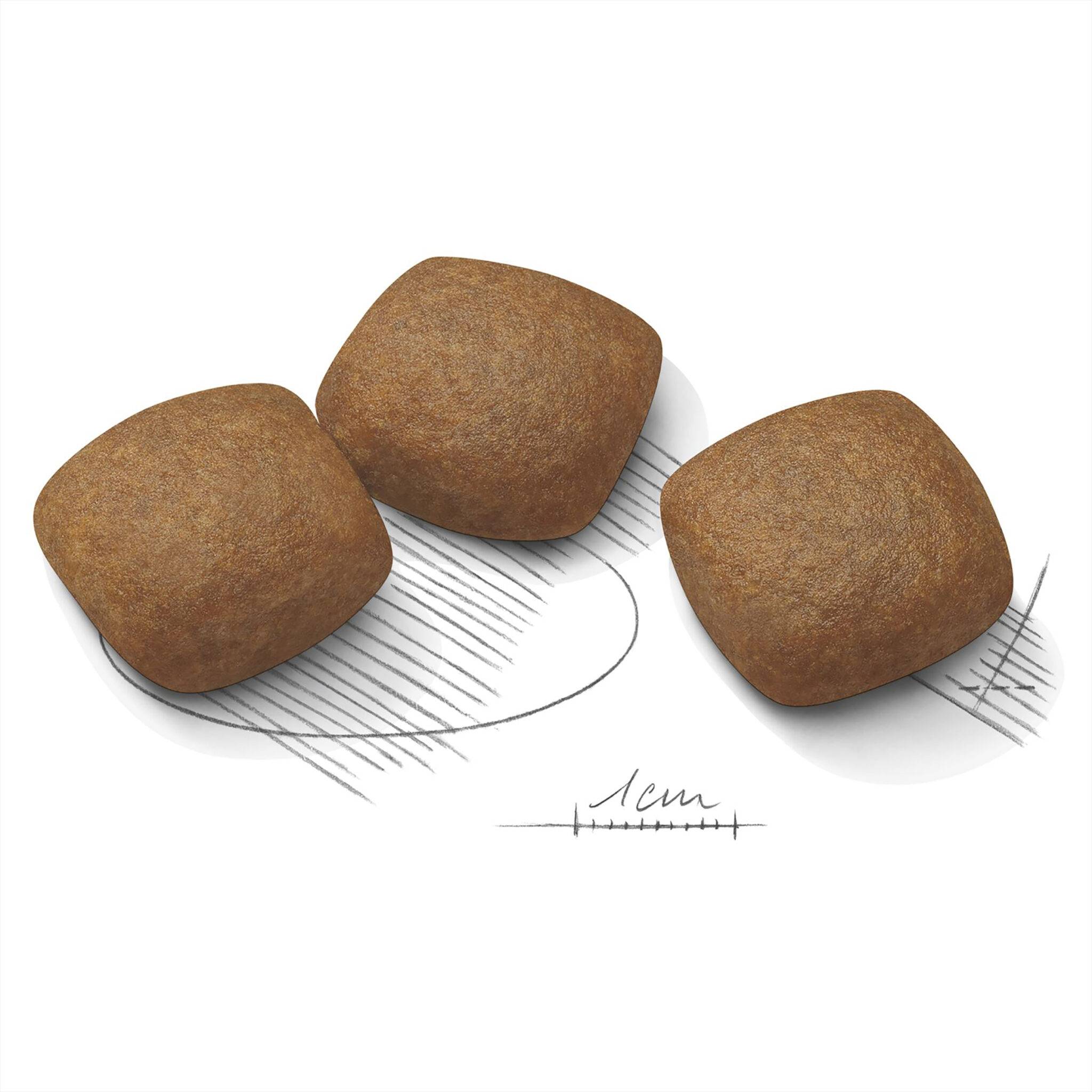 Royal Canin Maxi Joint Care - Image 3