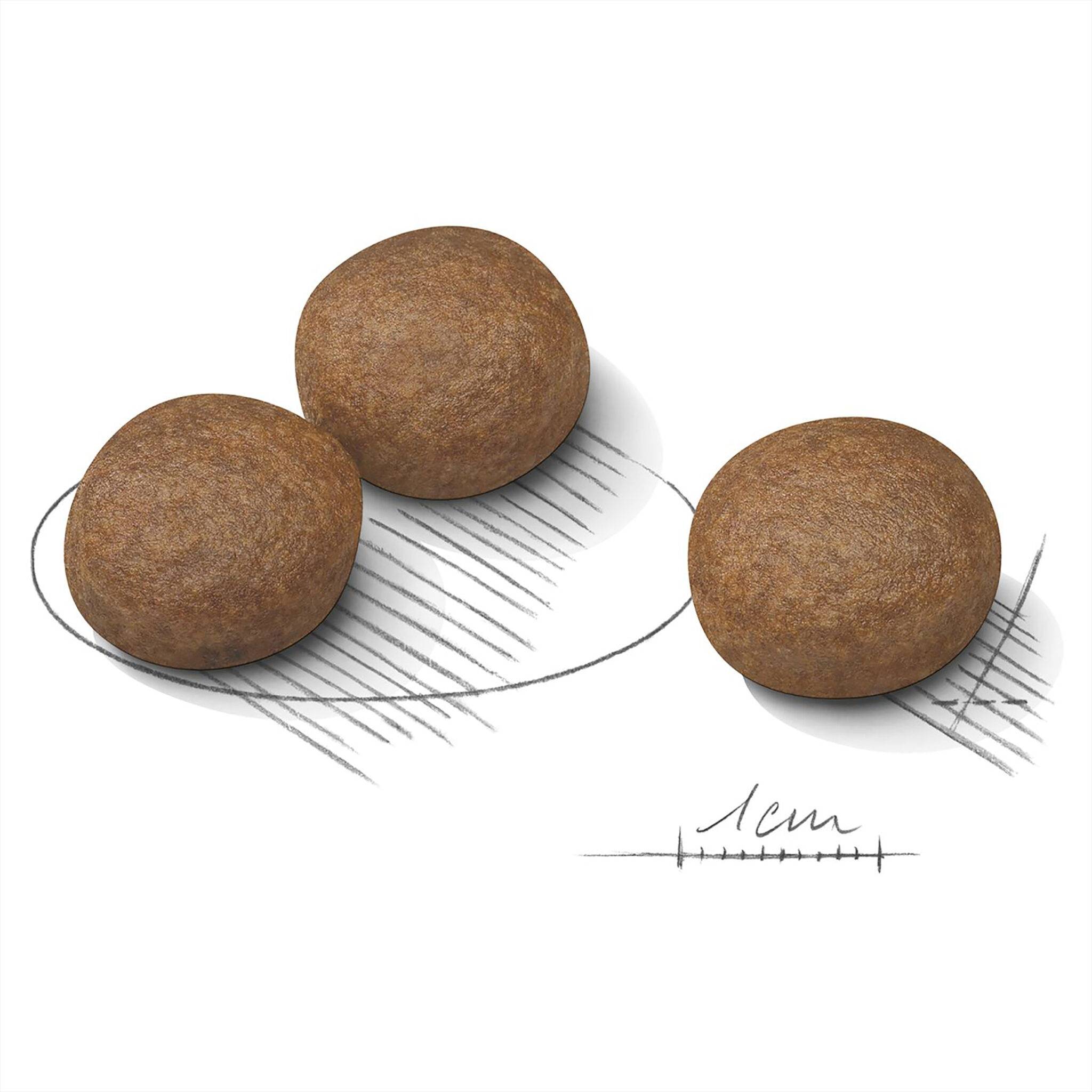 Royal Canin Medium Digestive Care - Image 3