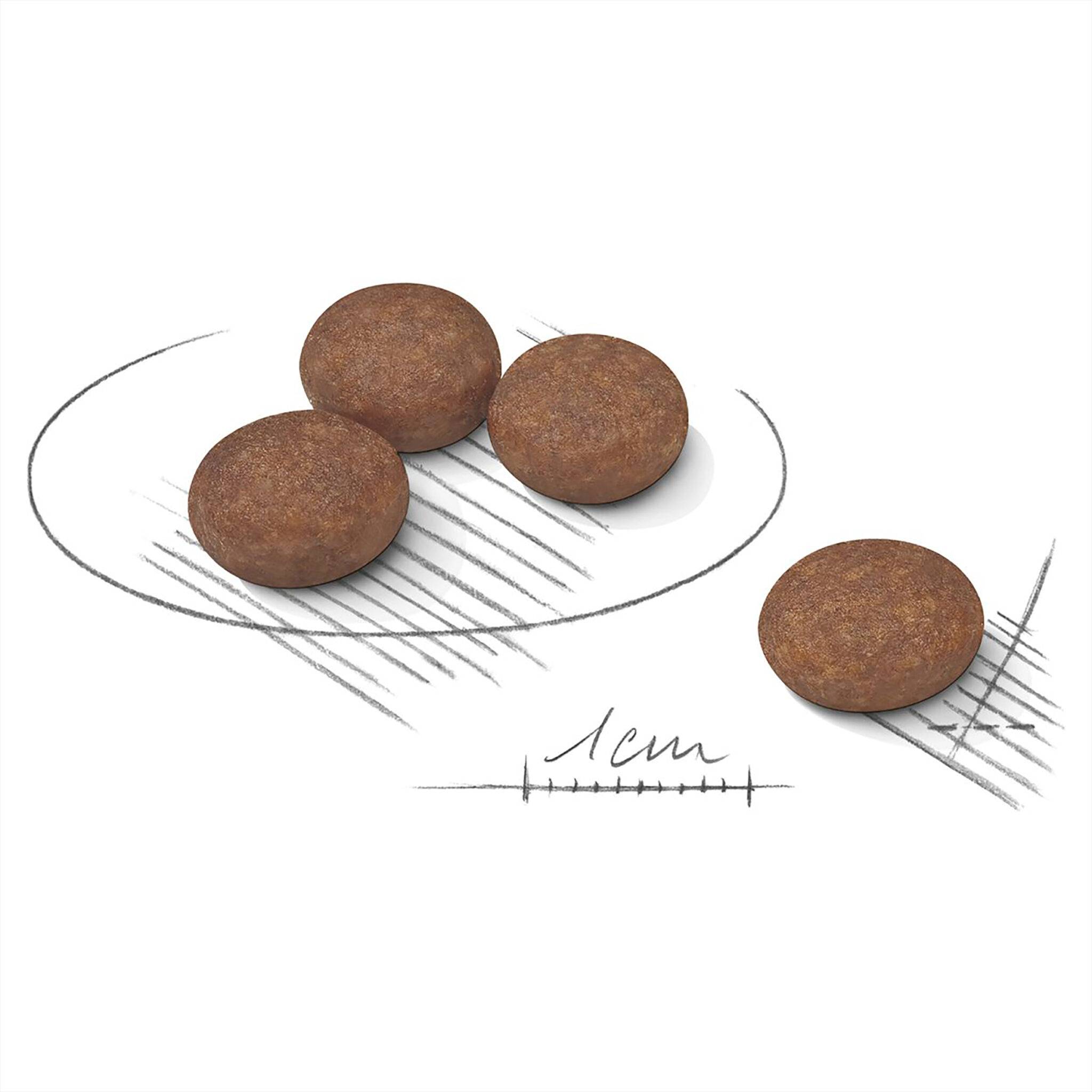 Royal Canin Mini Digestive Care - Image 3