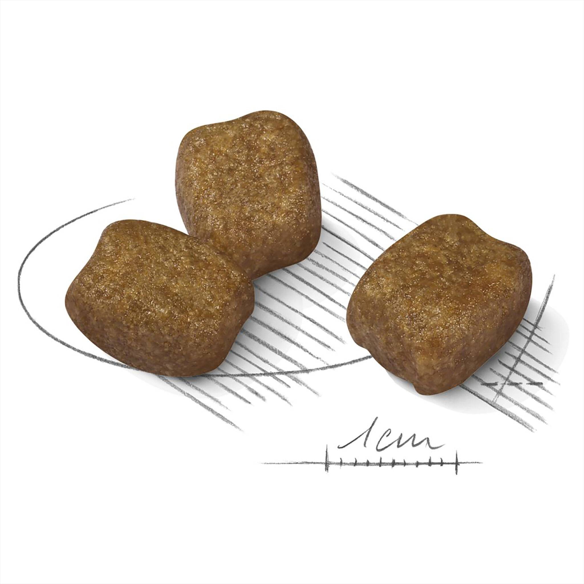 Royal Canin Mini Dental Care - Image 3