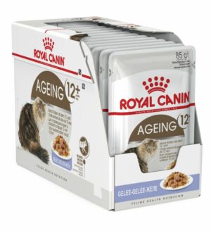 Royal Canin Ageing 12+ in Jelly