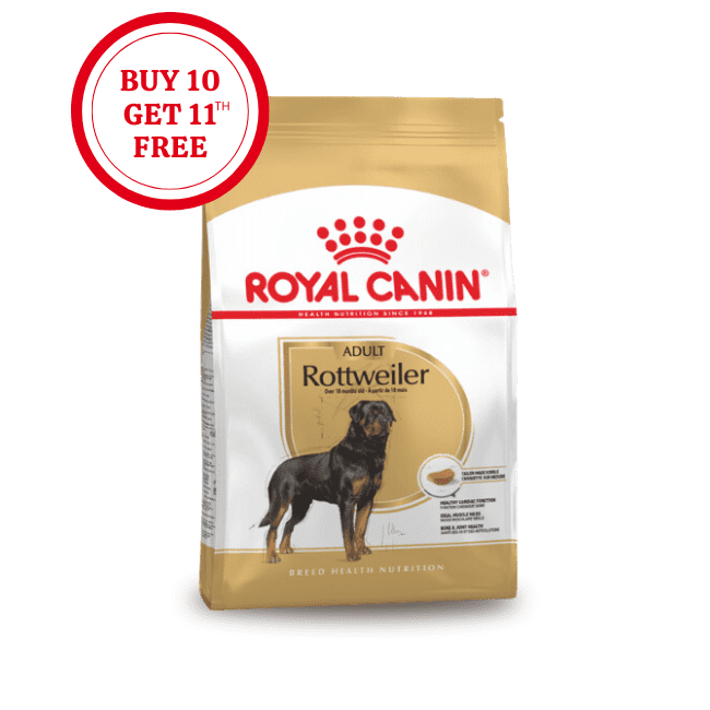 Royal Canin Rottweiler Adult Dry Food
