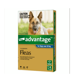 Advantage™ Flea Treatment for Dogs Over 25kg, 4 Pack
