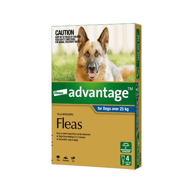 Advantage™ Flea Treatment for Dogs Over 25kg, 4 Pack
