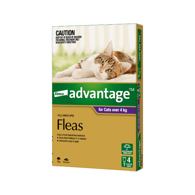 Advantage™ Fleas for Cats Over 4kg, 4 Pack