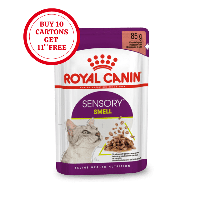 Royal Canin Sensory Smell Chunks in Jelly