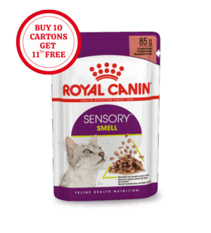 Royal Canin Sensory Smell Chunks in Gravy