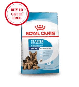 Royal Canin Maxi Starter Mother & Babydog Dry Food