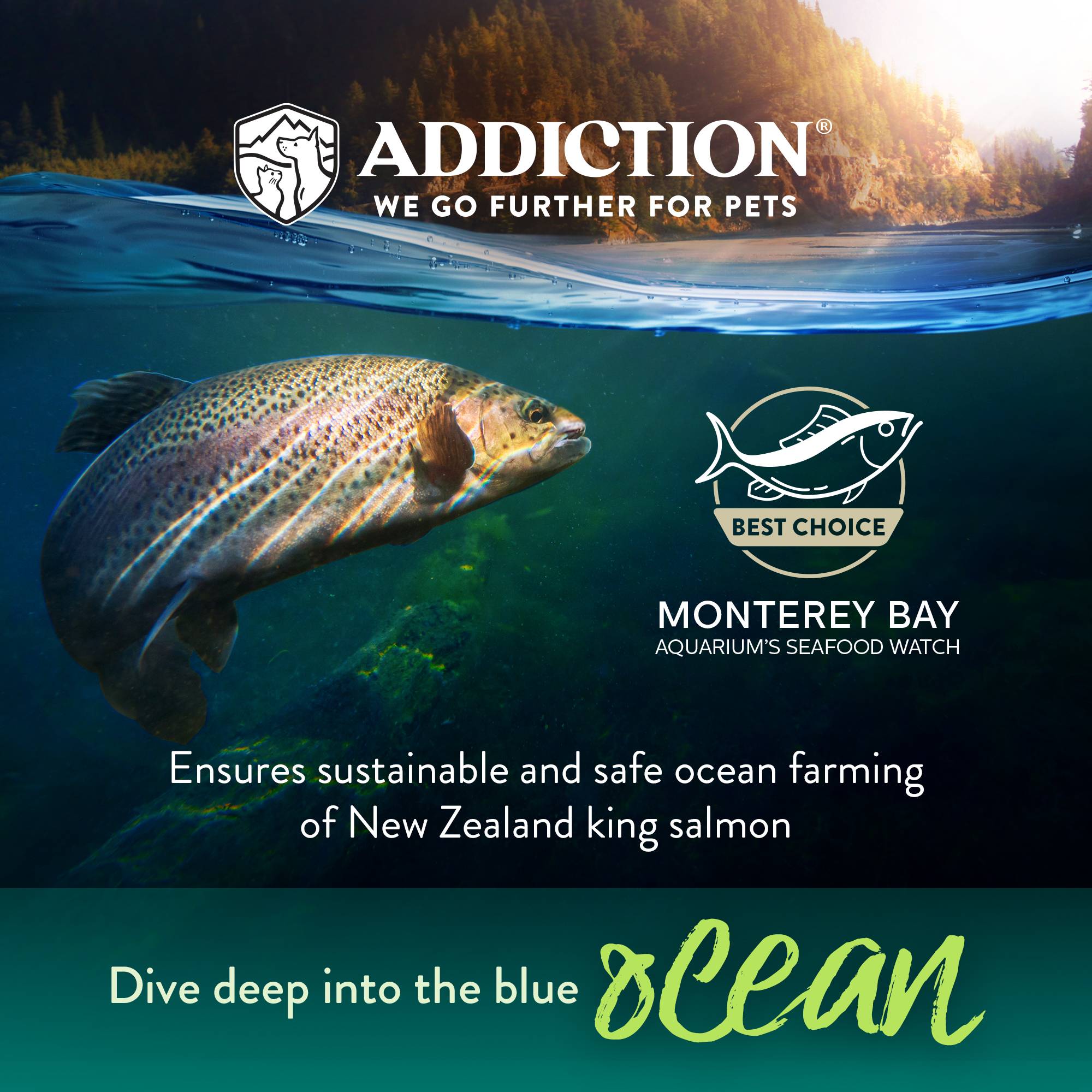 Addiction Salmon Bleu, Complete & Balanced, Skin & Coat Dry Dog Food - Image 6