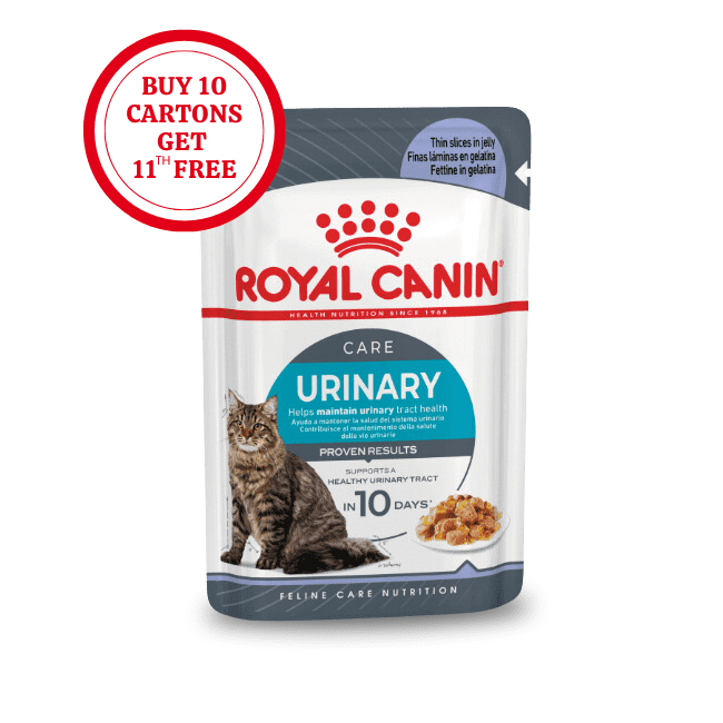 Royal Canin Urinary Care in Jelly