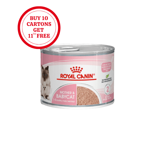 Royal Canin Mother & Babycat Mousse