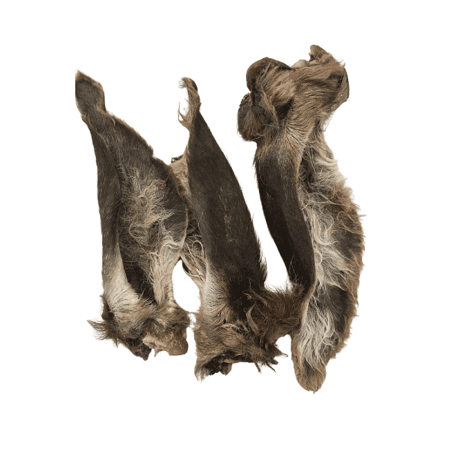 Ranger Venison Ears with Fur