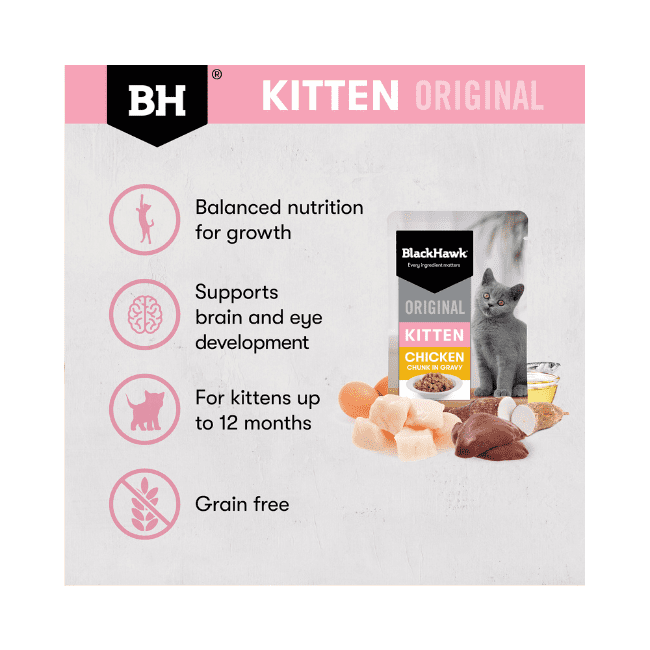 Black Hawk Original Kitten Chicken in Gravy - Image 3