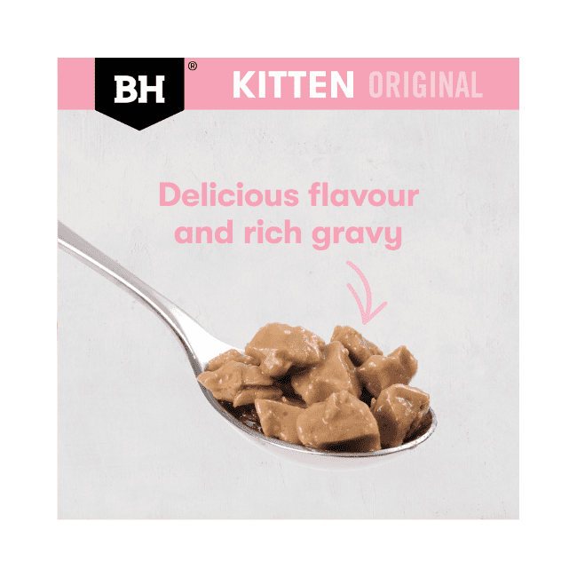 Black Hawk Original Kitten Chicken in Gravy - Image 4