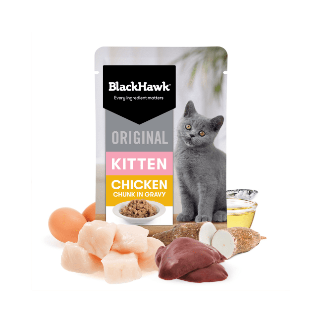 Black Hawk Original Kitten Chicken in Gravy - Image 2