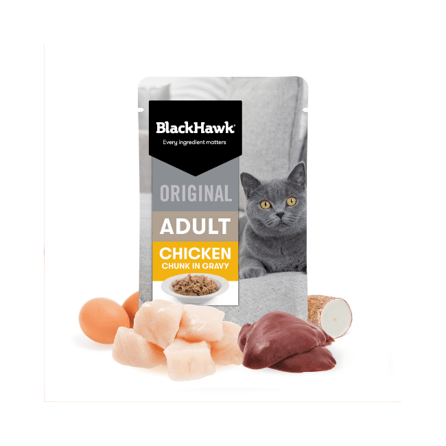 Black Hawk Original Cat Chicken in Gravy - Image 2