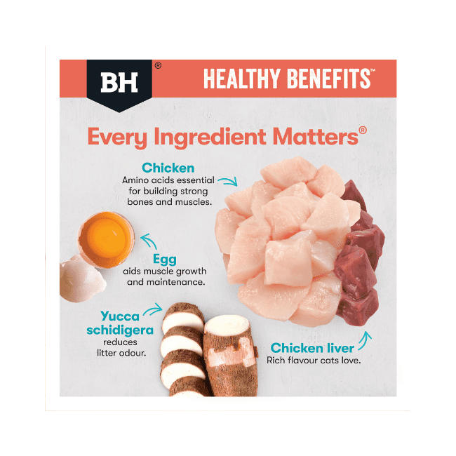 Black Hawk Healthy Benefits Cat Indoor Chicken Dry Food - Image 4