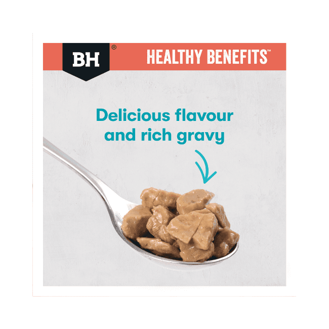 Black Hawk Healthy Benefits Cat Indoor Chicken Dry Food - Image 5